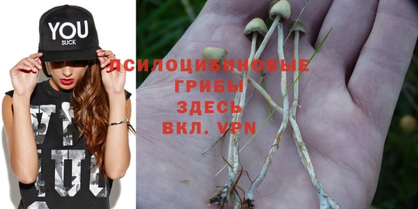 эйфоретик Гусиноозёрск