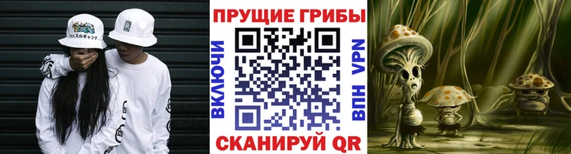 Купить закладки  Шарья  Галлюциногенные грибы GOLDEN TEACHER 